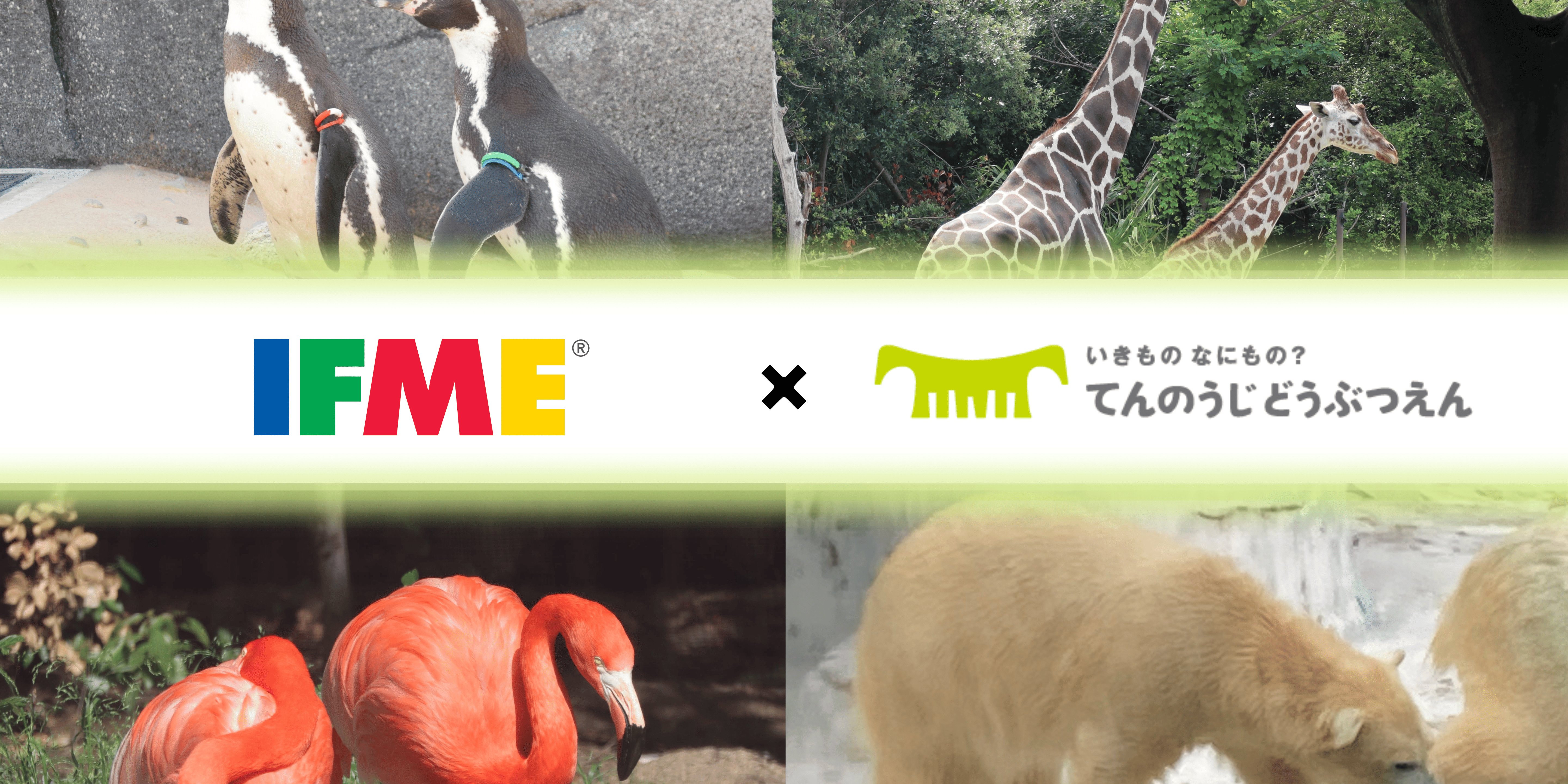 IFME × 天王寺動物園 『みらいキッズフットプロジェクト』コラボイベント開催